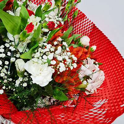 papel-colmeia-vermelho